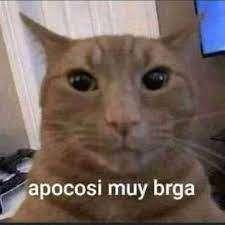 bruh