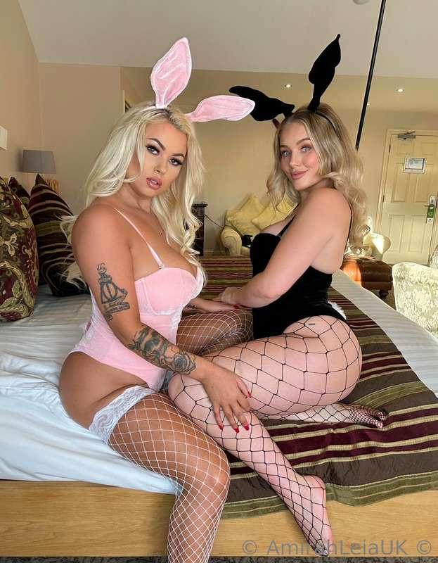 Naughty bunnies
