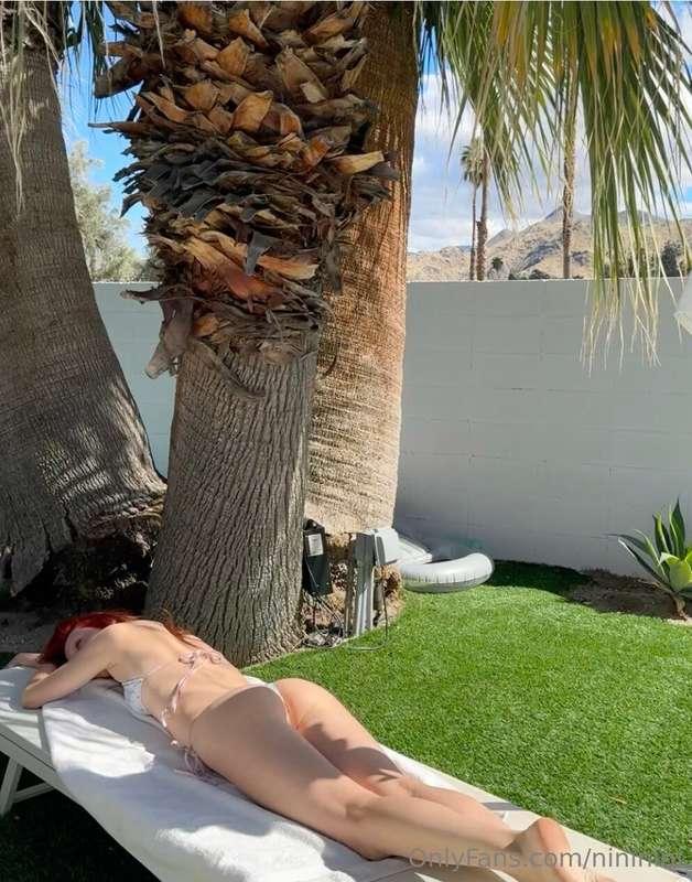 palms paradise in 🌴