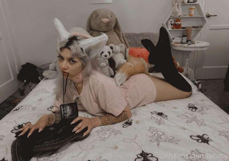 Sometimes I am a bad dog 🥺