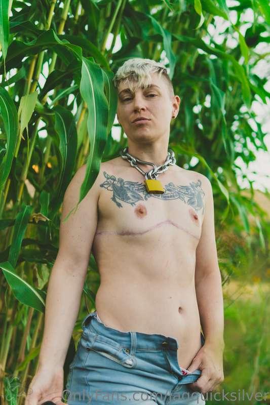 🌽⭐