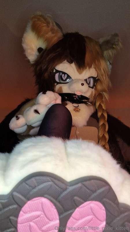 Some cute pictures in my fursuit, Nugget 🐾