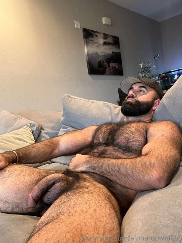 alphatopwolf22 image #0