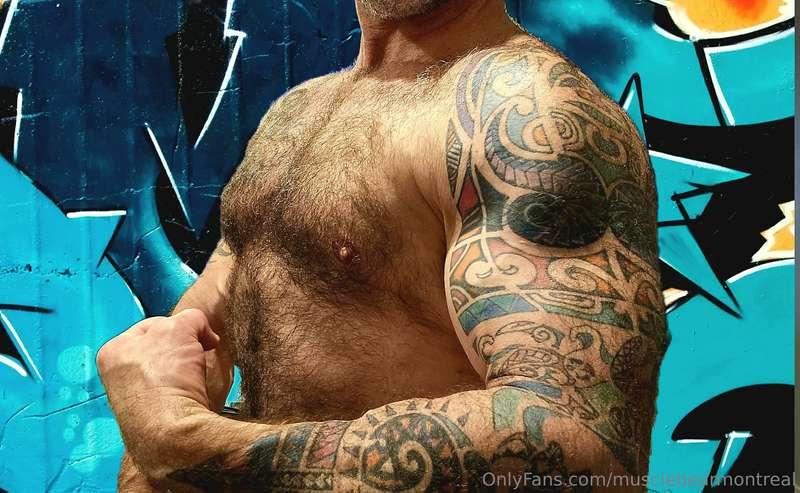 musclebearmontreal image #1