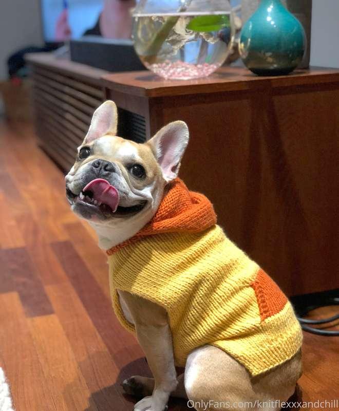 knitflexxxandchill image #1