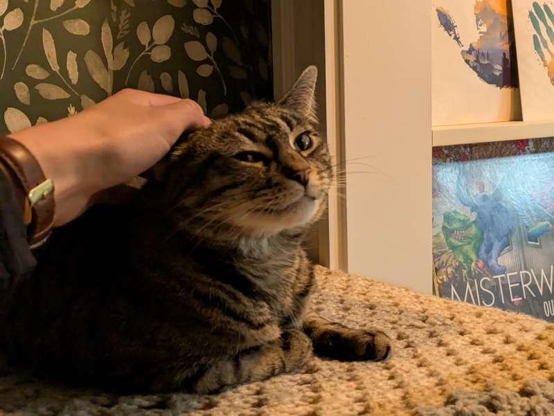 Secret Cleo! (Also the patreon billing switch finally happened yaaaaay)