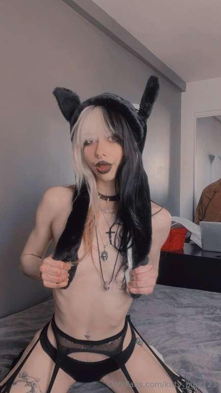 🦇Lil bat 🦇