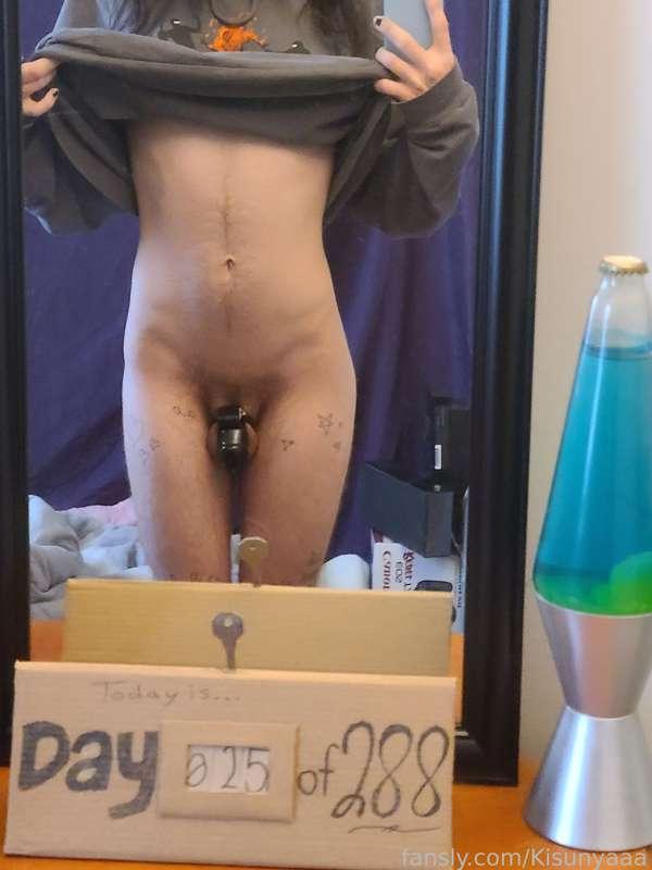 Day 25 of 288! ♡♡♡

#fyp #cockcage #chastity #trans #mtf