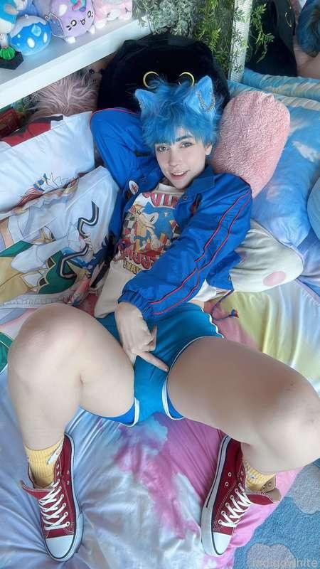 indigowhite image #260