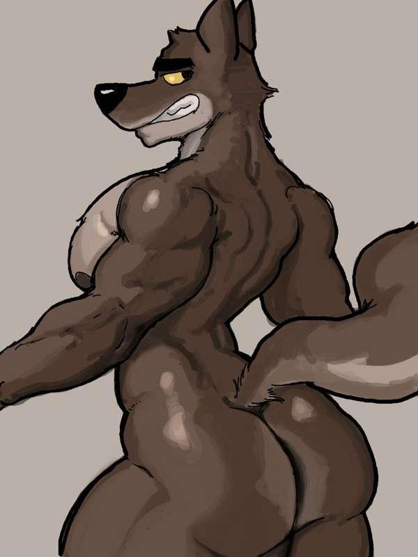 Señor Wolf