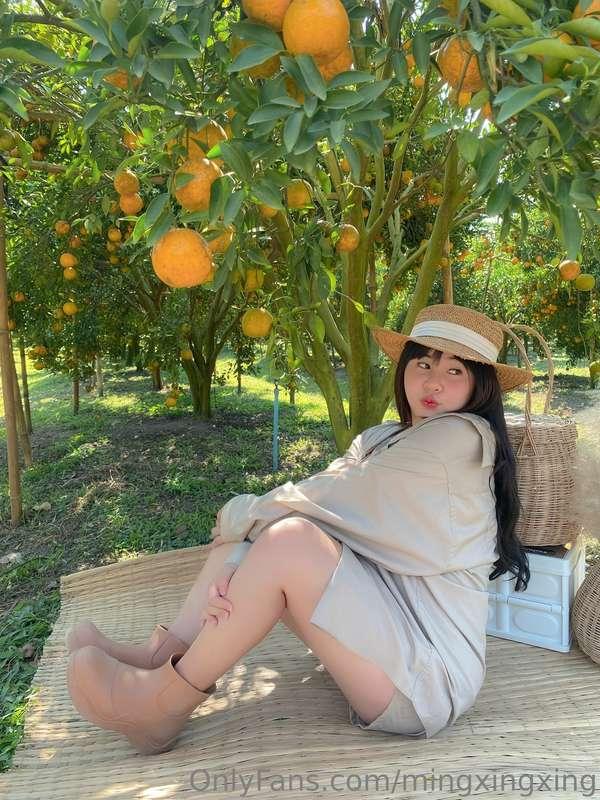 ชอบกินส้มไหมค้าบ 🍊✨