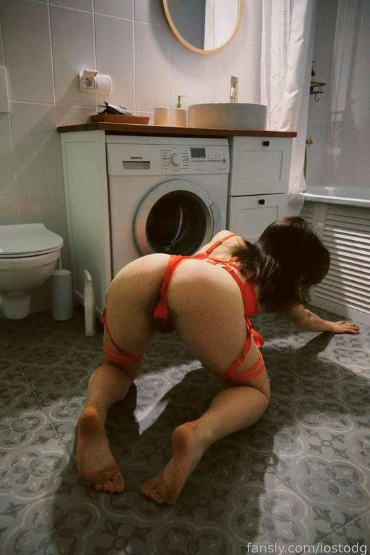 lostodg image #2