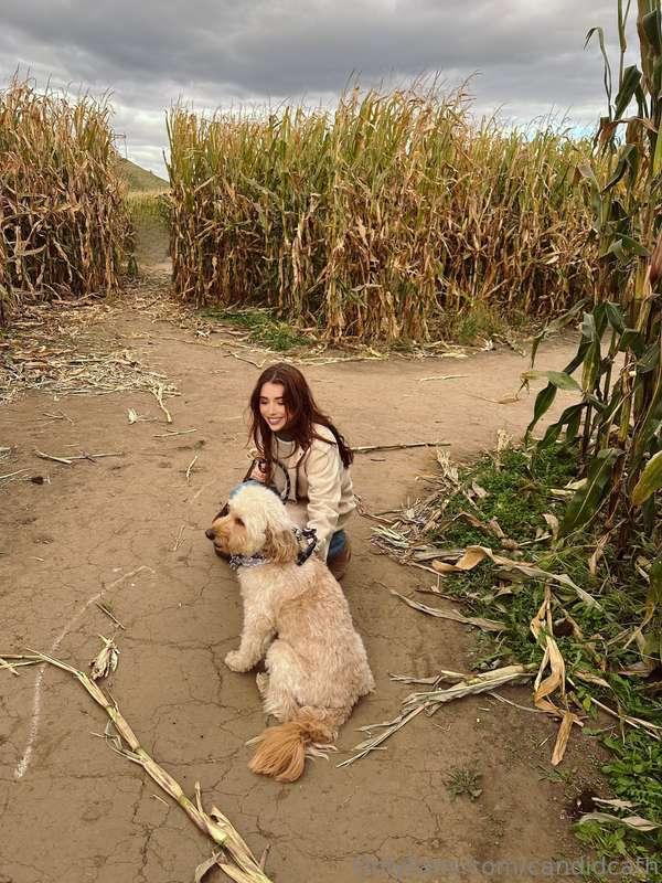 my best friend 🐶 we went for a walk in a corn maze the other..