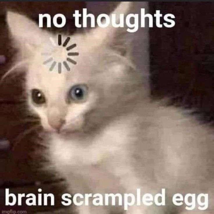 no thoughts just brain scrambled egg... (^///^)