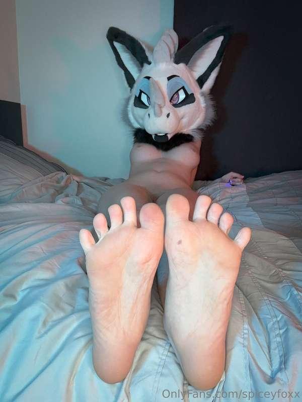 spiceyfoxx image #3