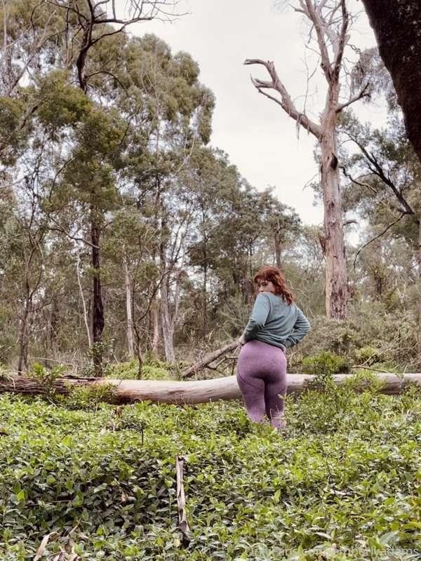 Howdy. I’m posting this whilst sitting on a log. Lot o’ wood..
