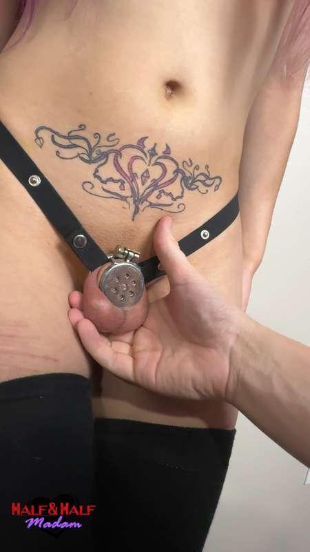 halfnhalf_madam image #2