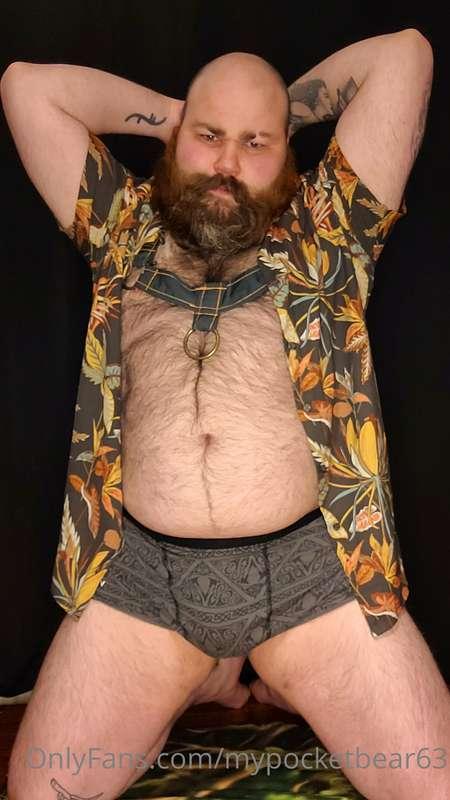 Trying on some harnesses, made by my partner @BeeEmber twitt..