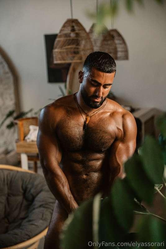 elyassorari image #1