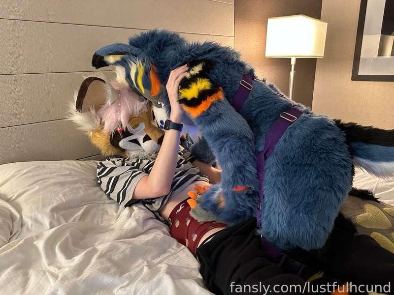 lustfulhcund image #0