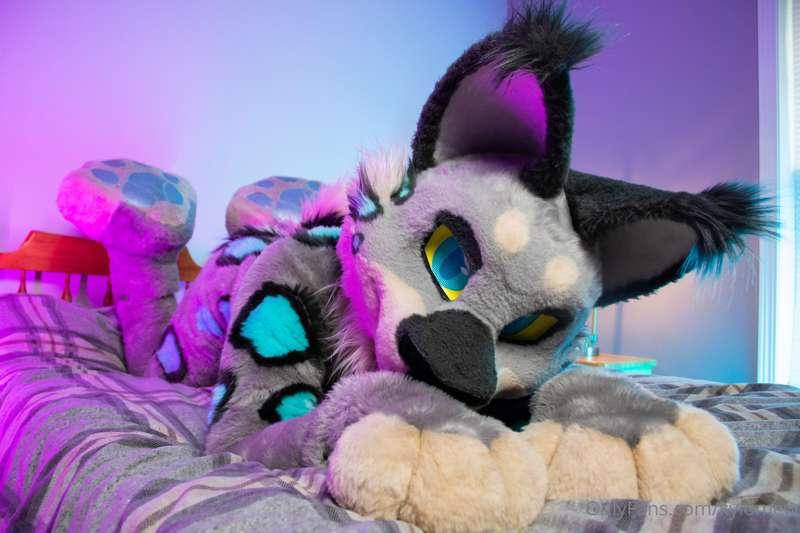 time to move onto abit nicer of a PFP, heckin love this pose