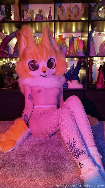 littlepixiekitten image #14