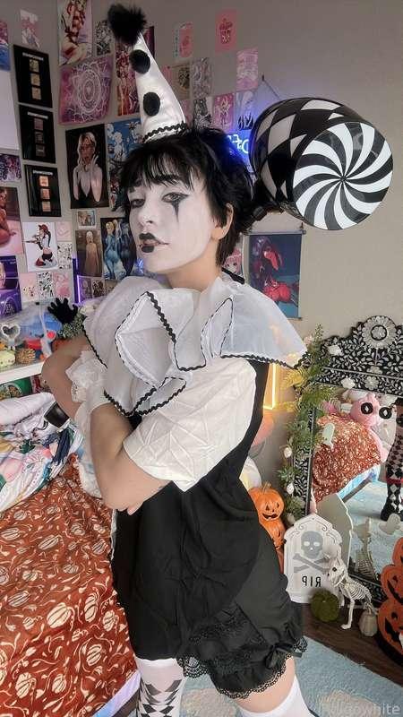 indigowhite image #51