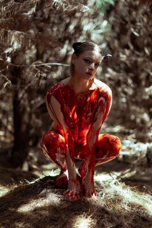 Forest Blood ~ Full Set