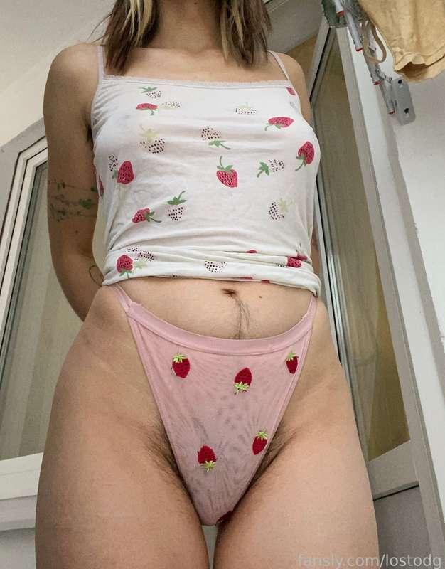 lostodg image #1