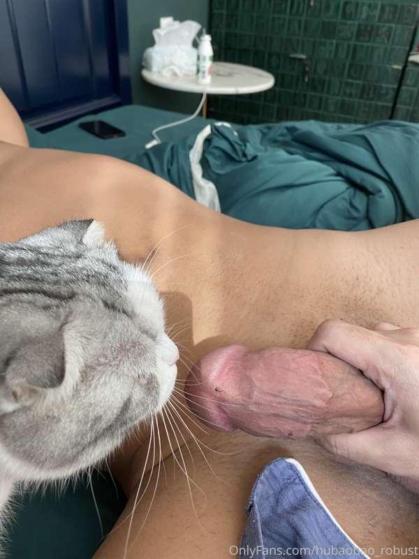 逗猫棒，哈哈哈哈😂

Cat teasing stick, LOL 😂
