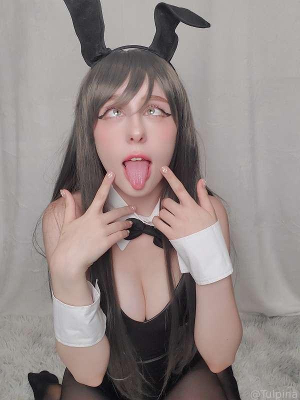 tulpina image #1