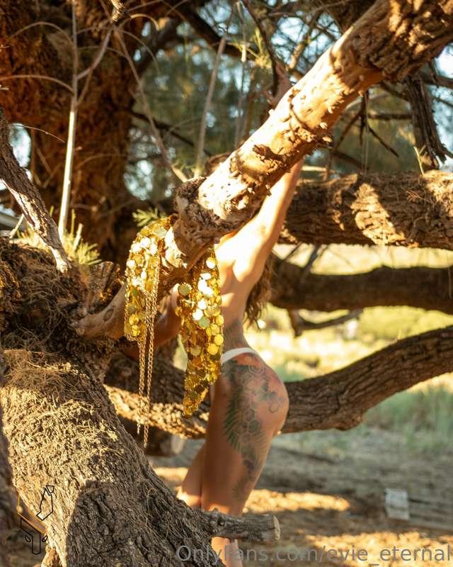 evie_eternal image #0