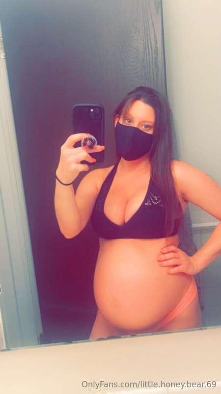 little.honey.bear.69 image #1