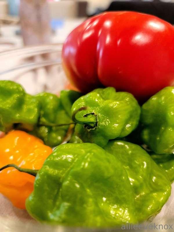I grew all of the things for this salsa in my garden 🥰🥰