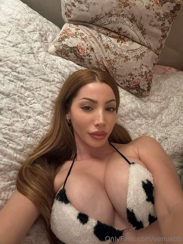 POV 
