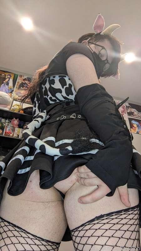 catboyzion image #7