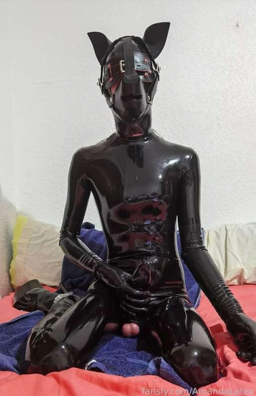 amandalatex image #1