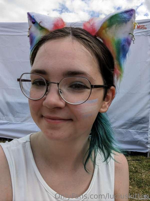 luciuskitten image #2
