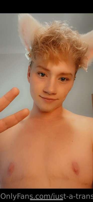 just-a-trans-guy image #0