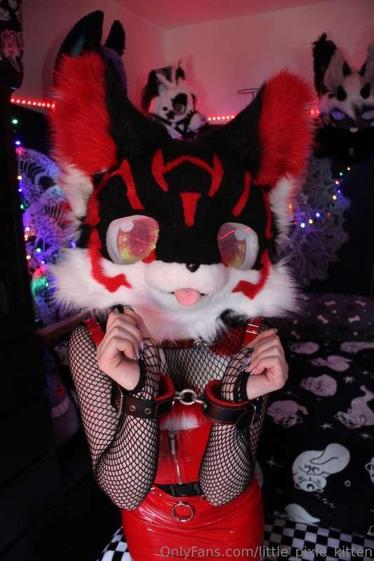 little_pixie_kitten image #0