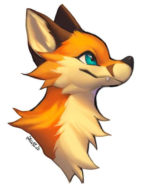 Fox portrait time lapse