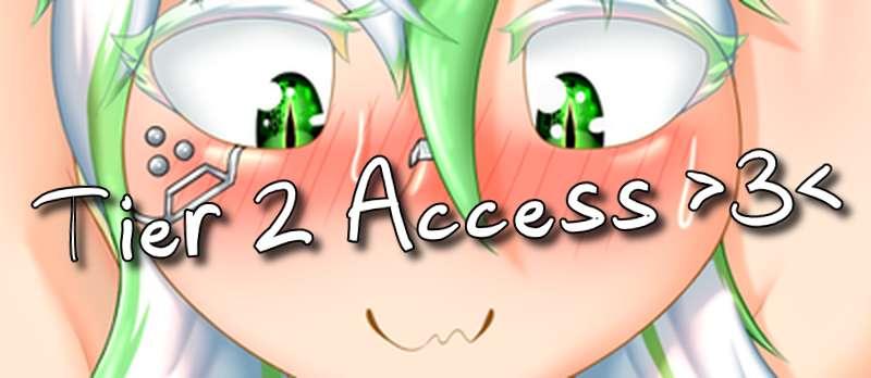 Tier 2&3 Access - PIN POST ACCESS
