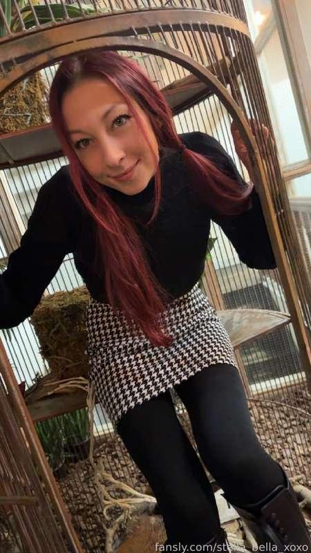 stella_bella_xoxo image #0