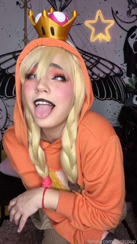 coophound image #1