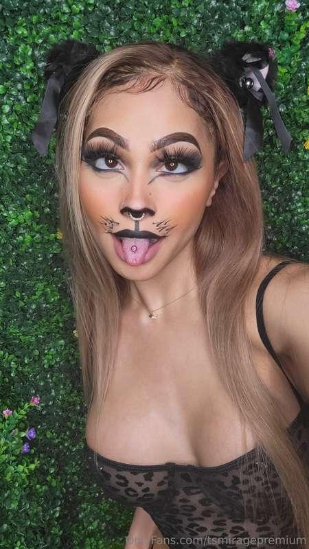 Look! A wild Mirage cat 🐈‍⬛️