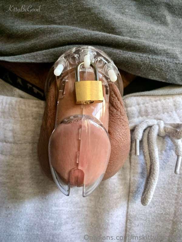 Here's my beta milking slave in his little chastity. I make ..