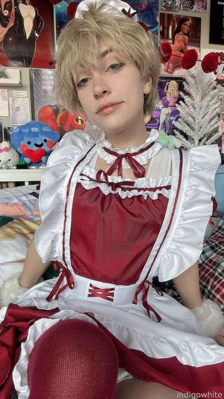 indigowhite image #35