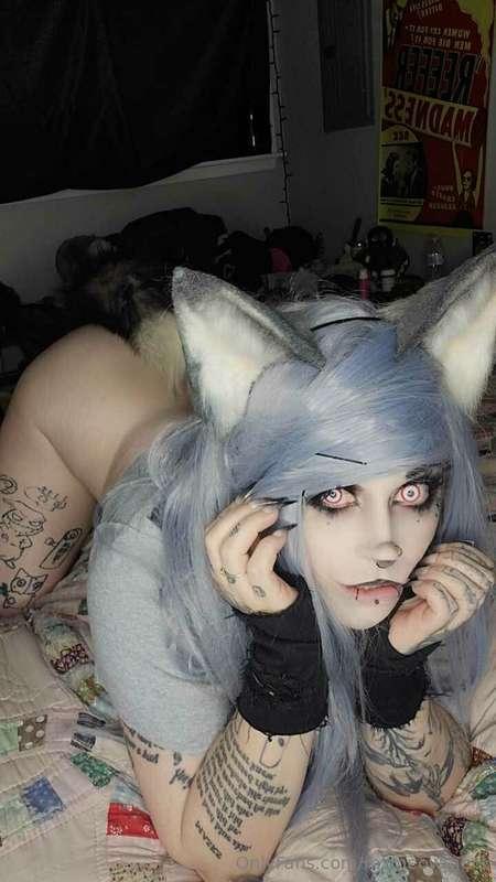 mzmeowmers image #12