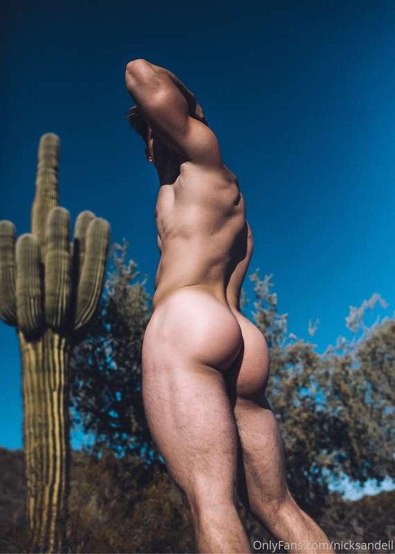 Ok, NOW it’s Hump day 🍑 😎📷 @randygopro