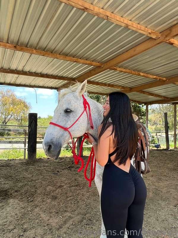 two stallions :)
